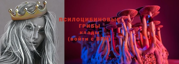 марки lsd Богородицк
