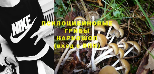 марки lsd Богородицк