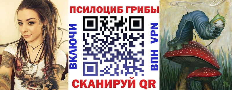 мега   это наркотические препараты  Галлюциногенные грибы мицелий  Новоржев 